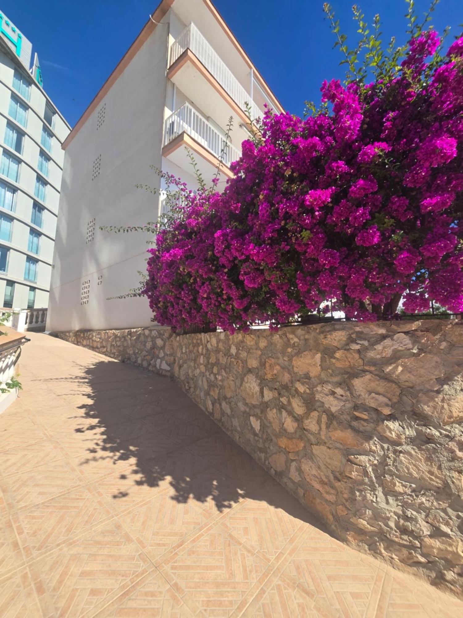 Peñíscola La Cantera Appartement Playa מראה חיצוני תמונה